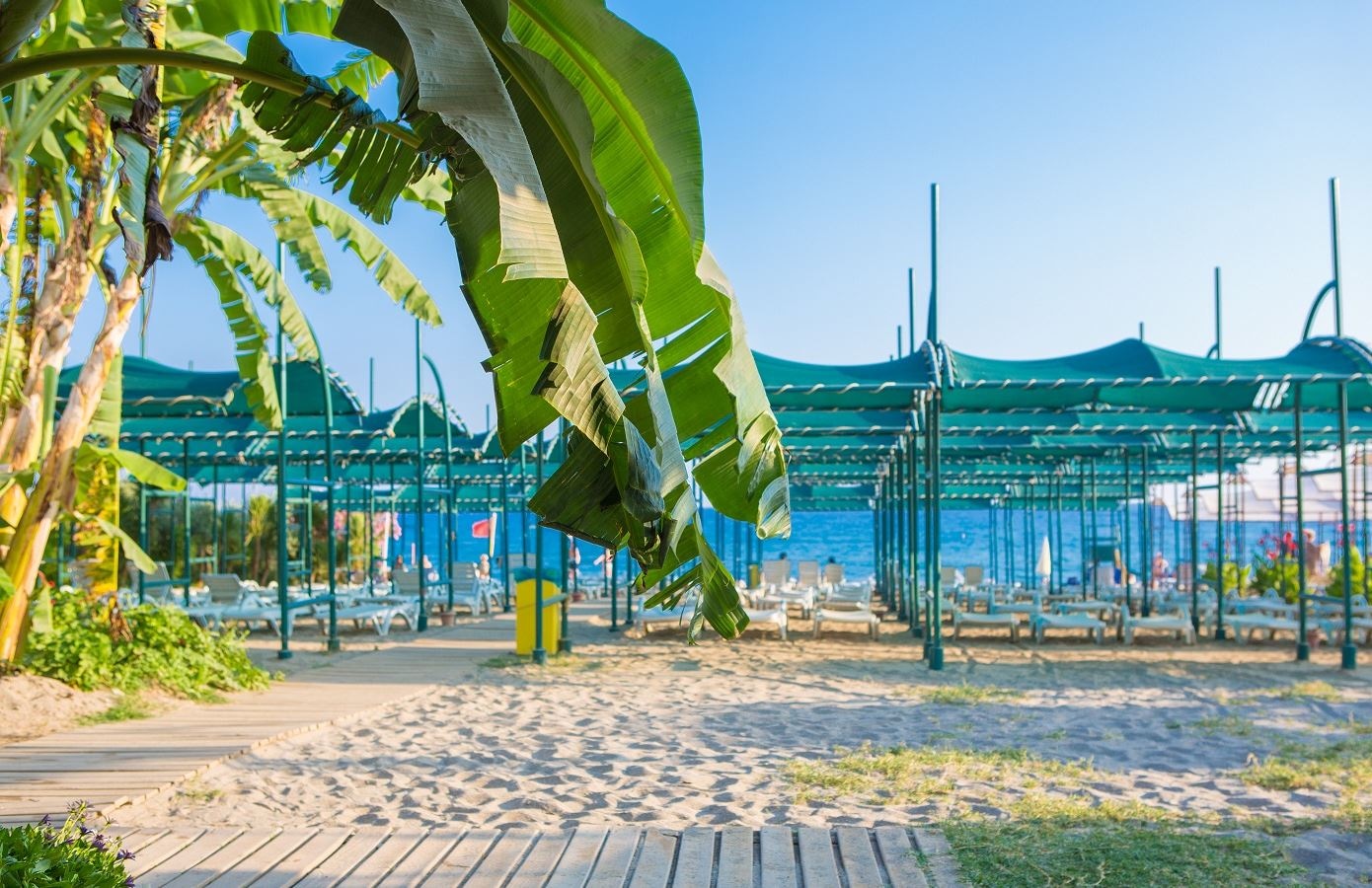 beach-beach