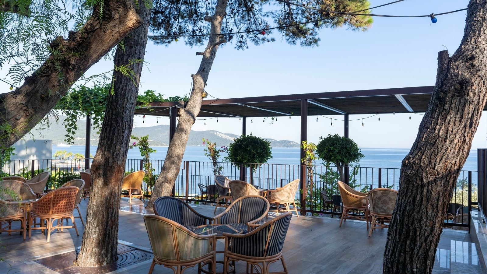 bars-tea-garden