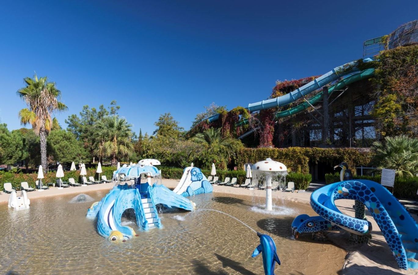 pools-outdoor-pool