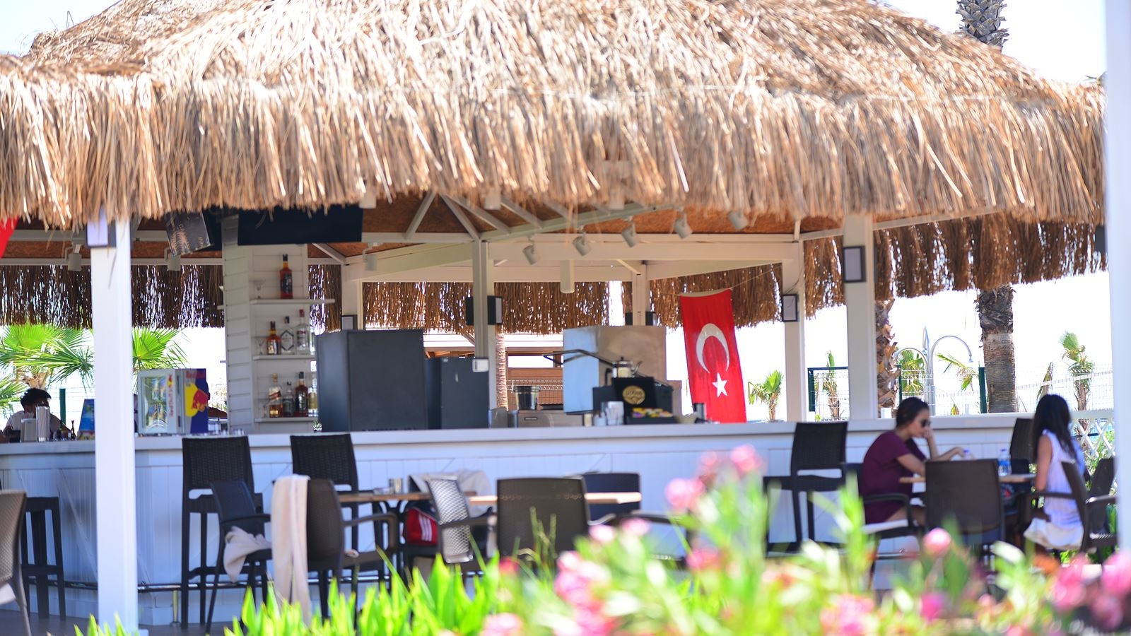 bars-beach-club