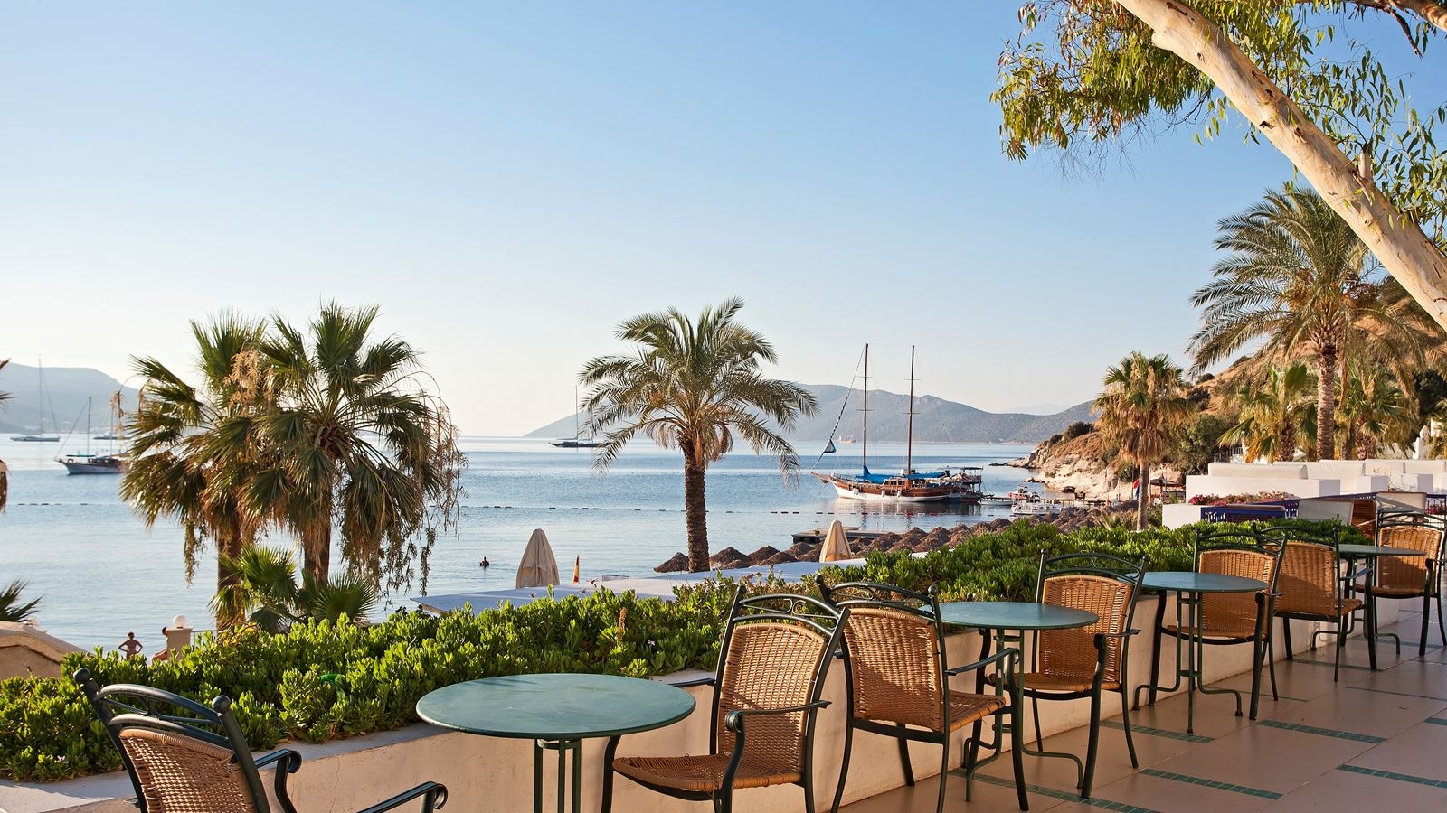 bars-pool-bar