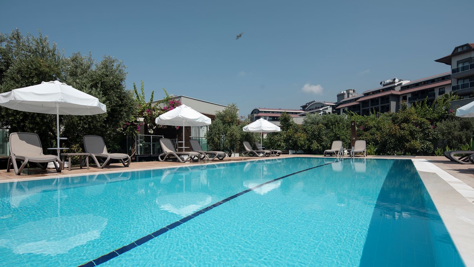 pools-bungalow