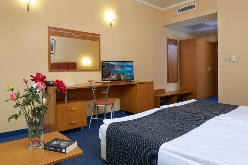 rooms-standard-room-frenchbalcony-economy