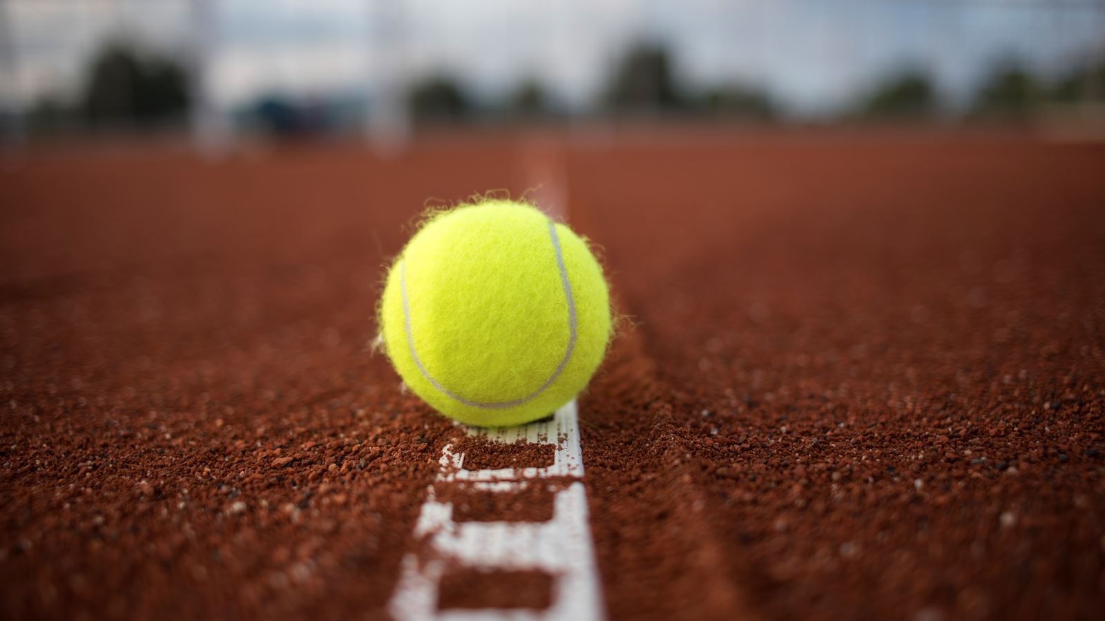 sport-sport