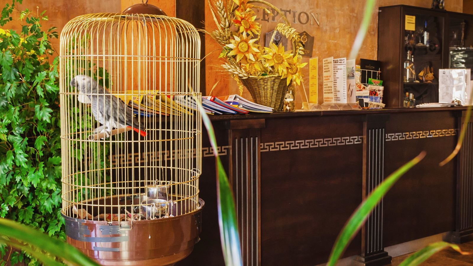 restaurants-restaurants