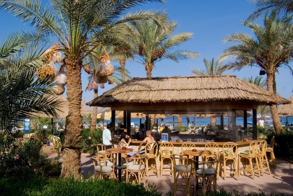 bars-beach-bar