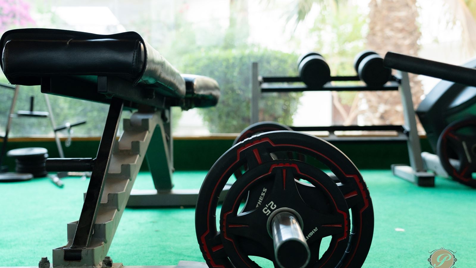 sport-sport