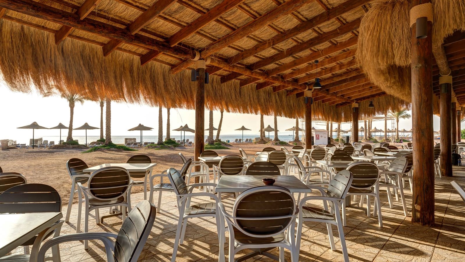 bars-tiran-bar