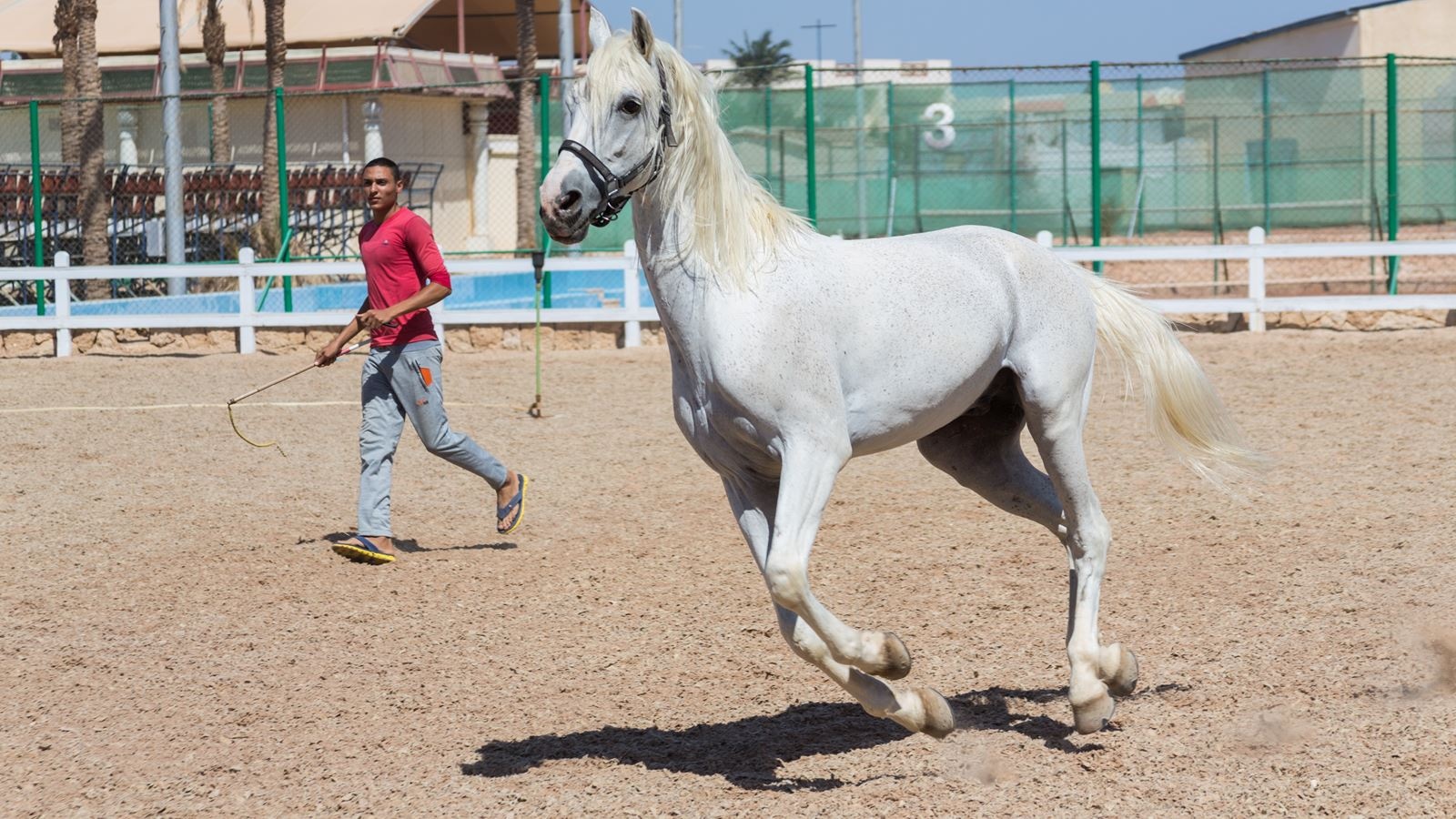 sport-sport