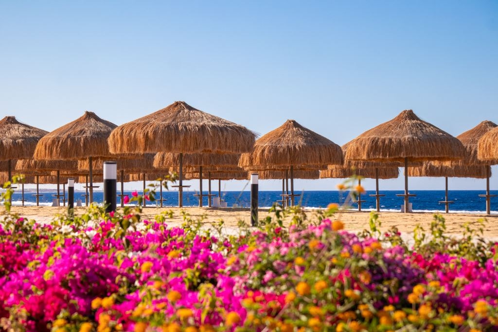 beach-beach