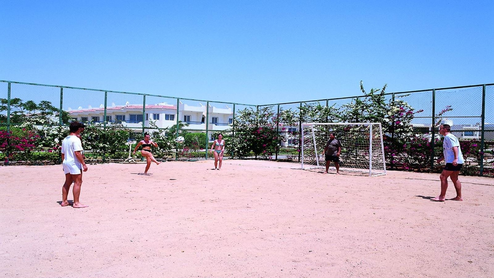 sport-sport