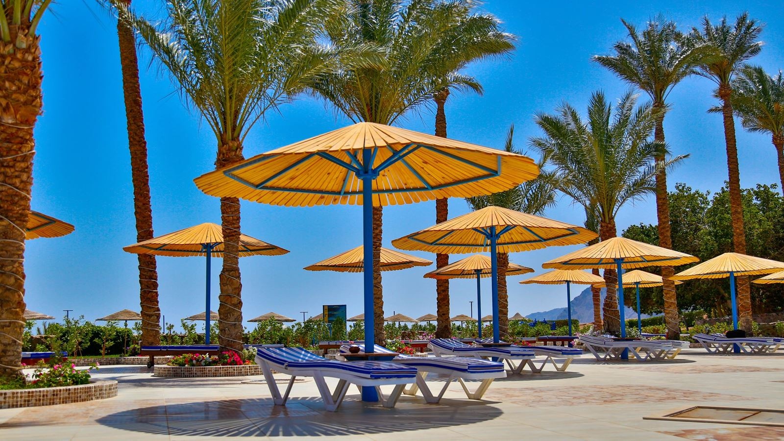 beach-other