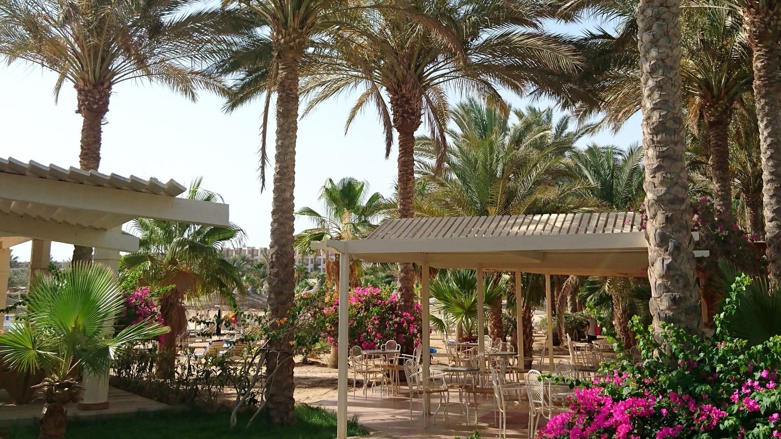 bars-beach-bar