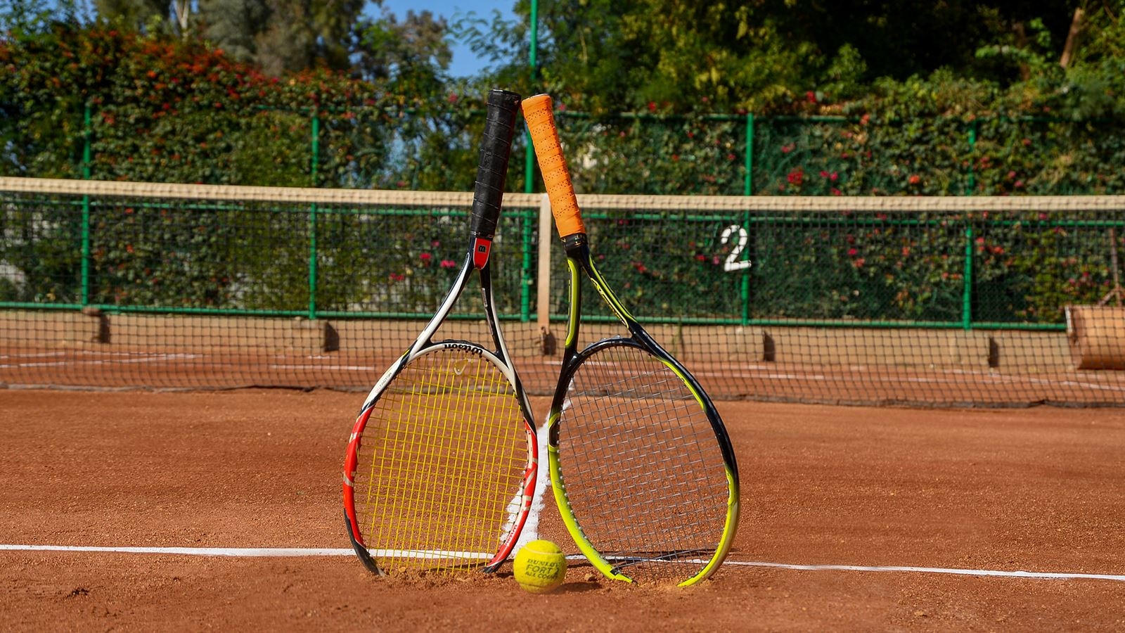 sport-sport