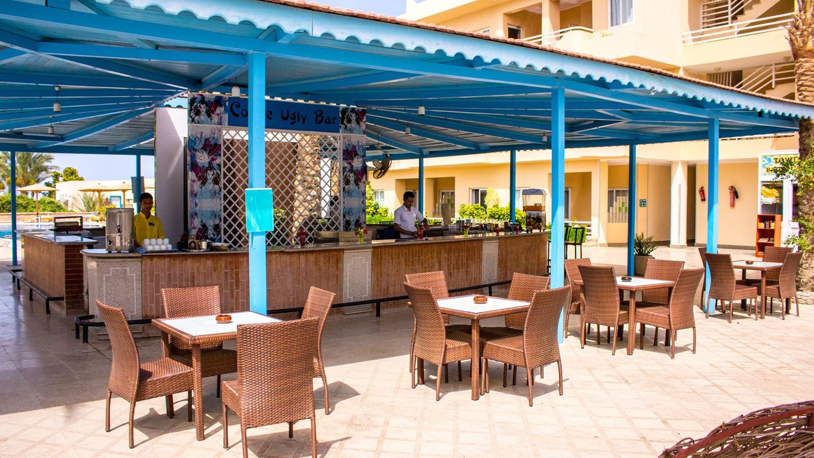 bars-coyot-ugly-bar