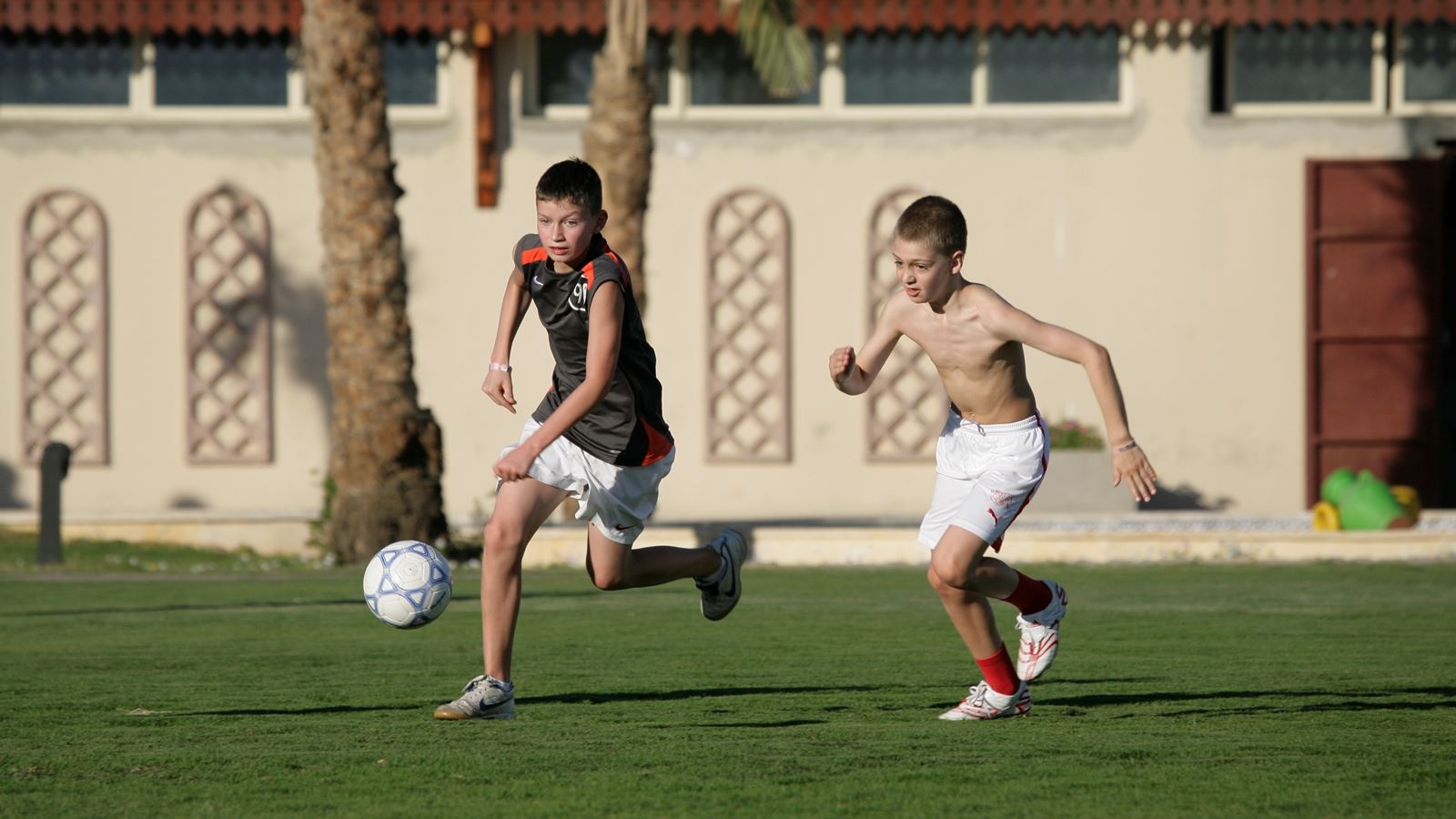 sport-sport