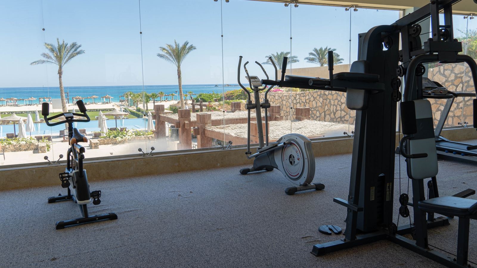 sport-sport