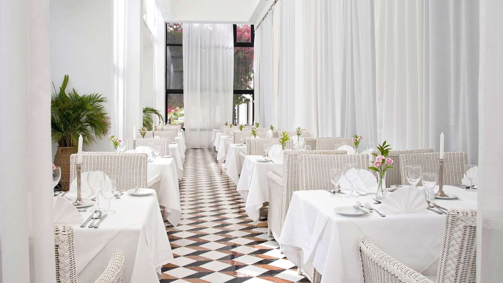 restaurants-cipro