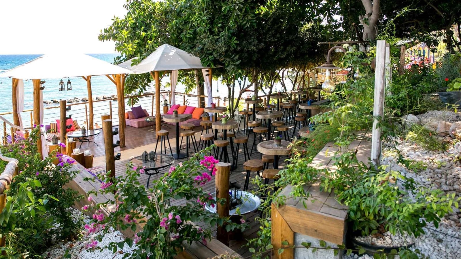 bars-antamoma-bar