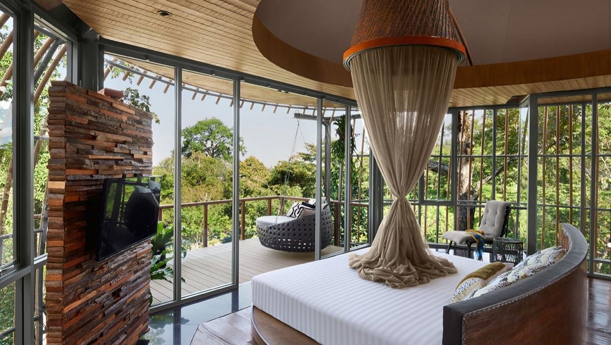 rooms-tree-pool-house