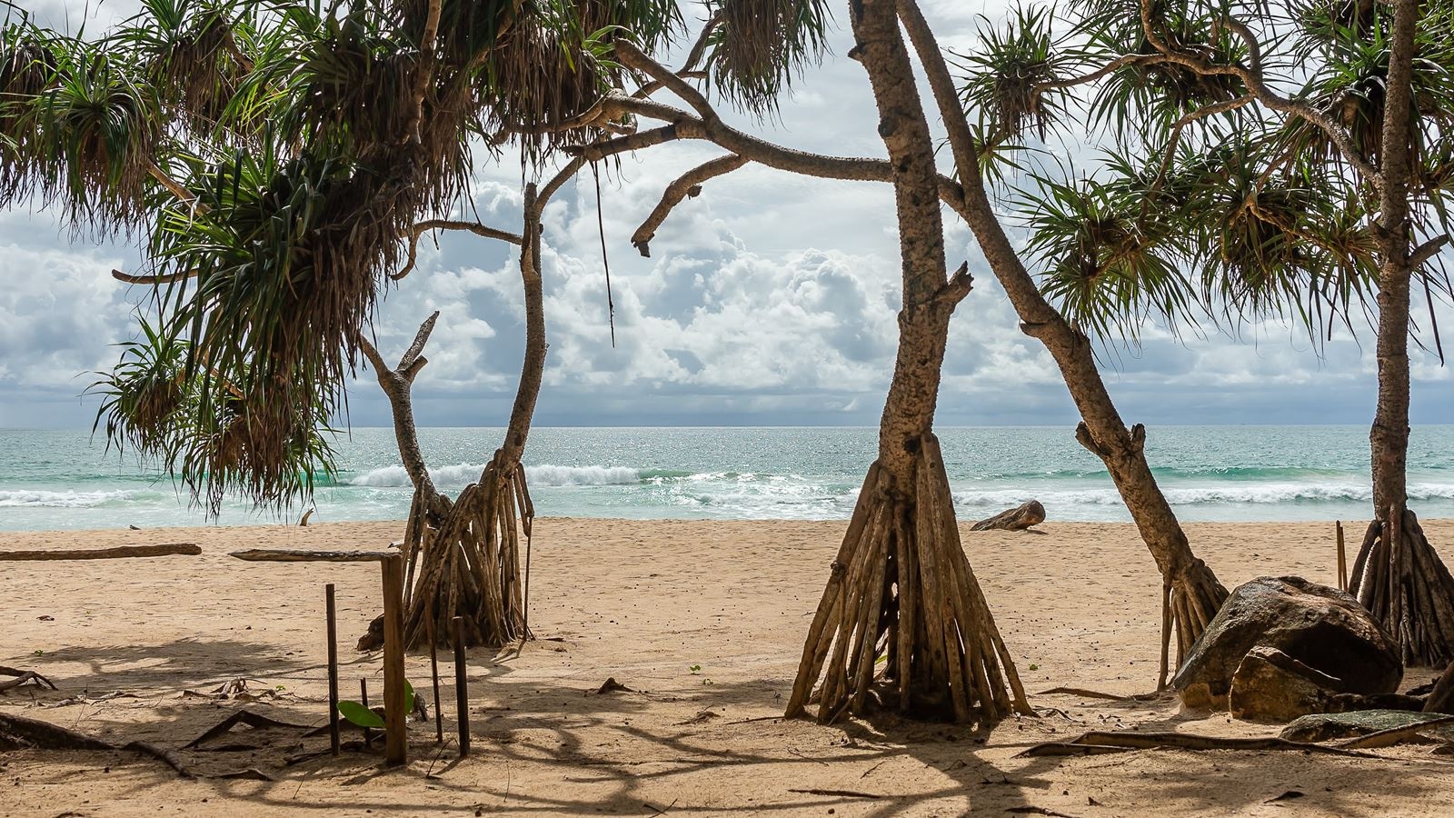 beach-beach