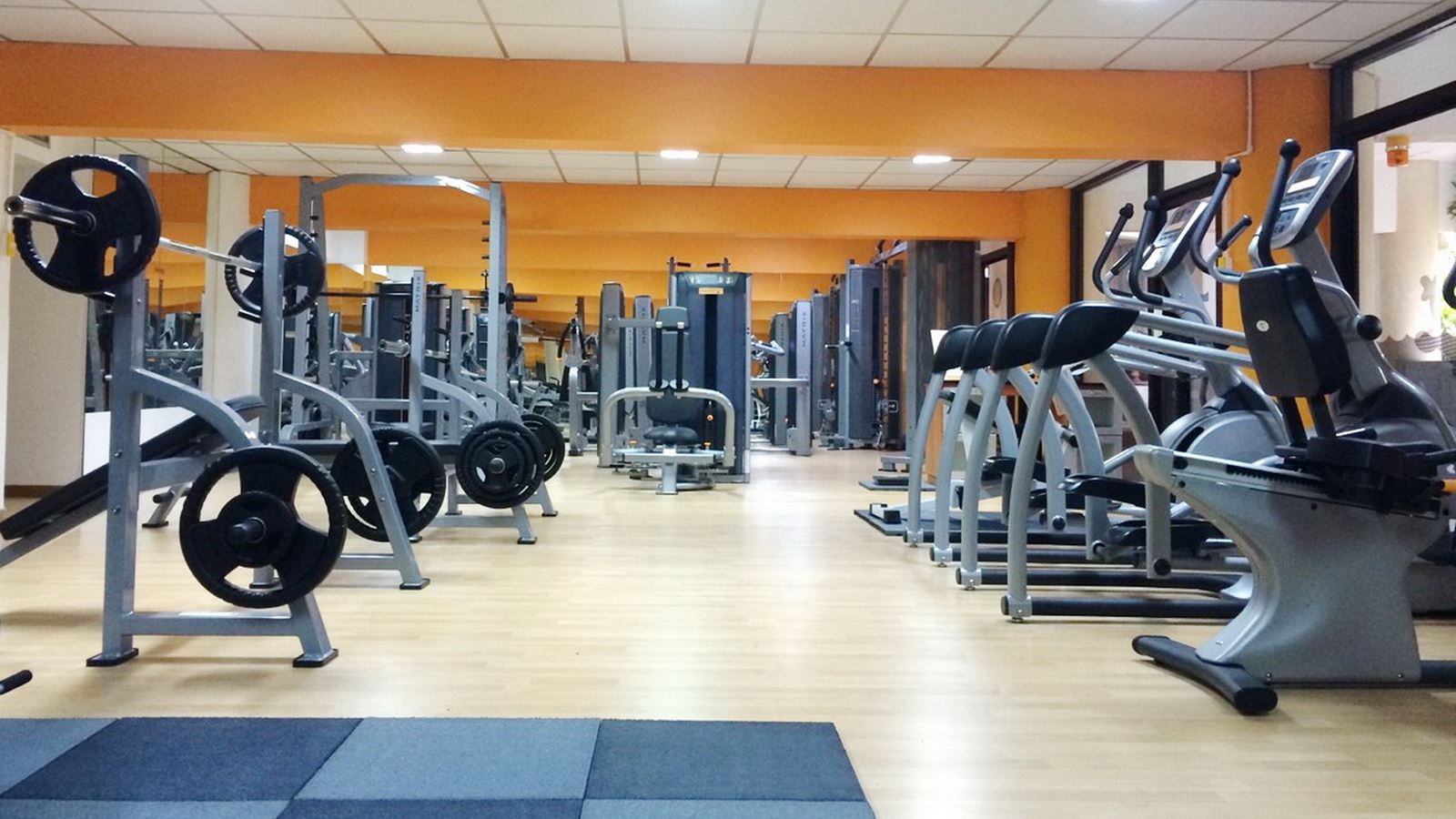 sport-sport