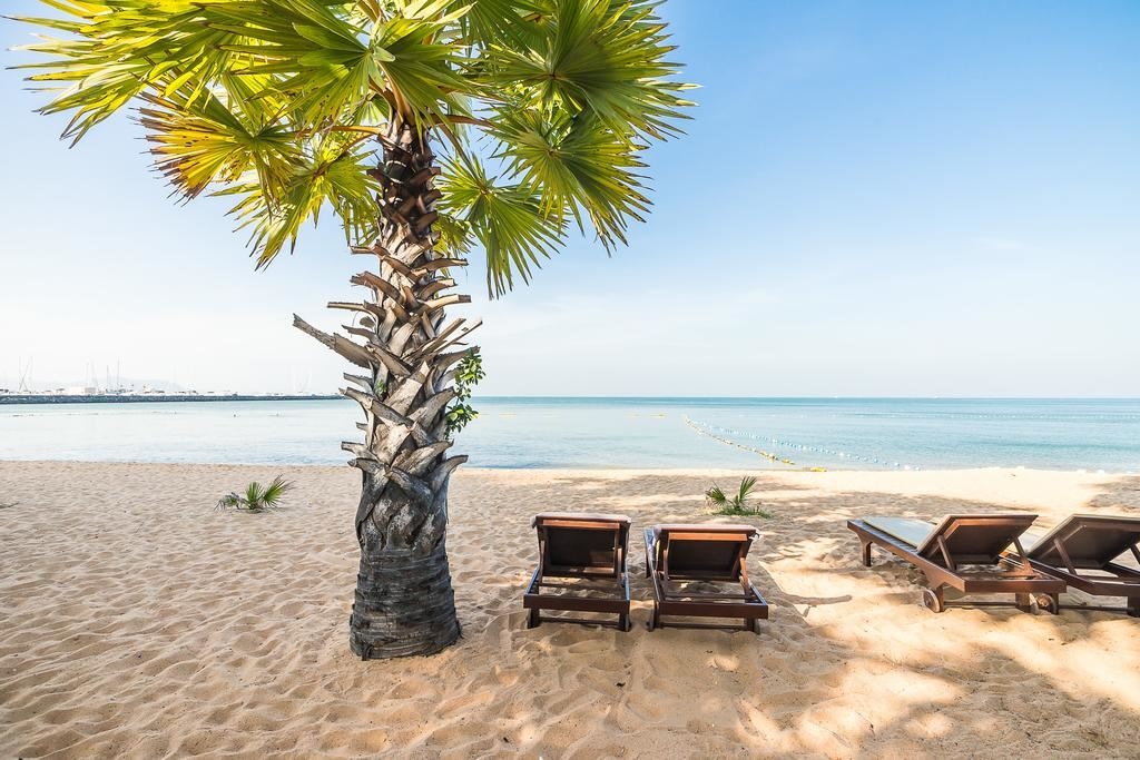 beach-beach