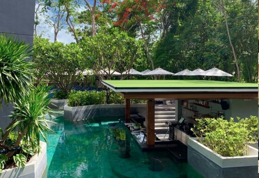 bars-jungle-bar