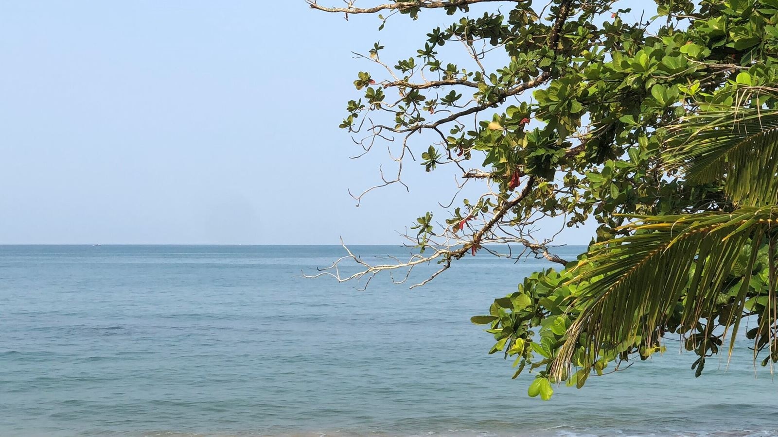 beach-beach