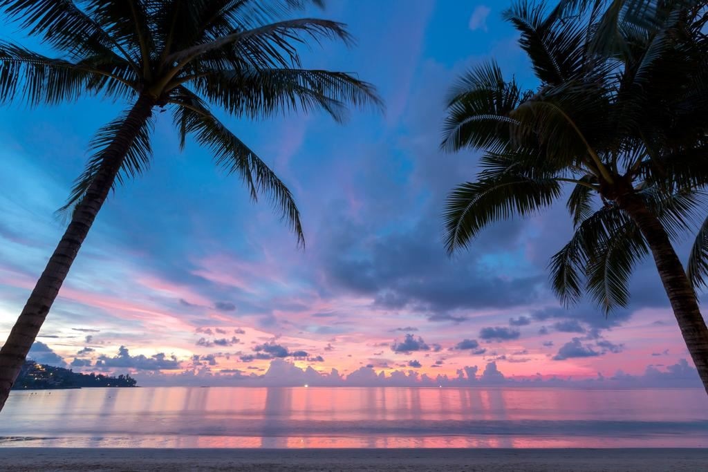 beach-beach