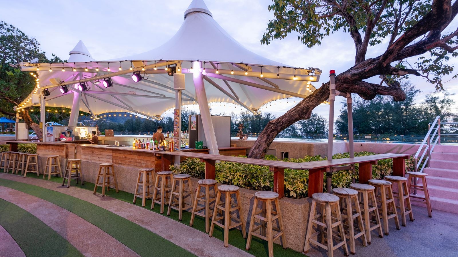 bars-marin-rooftop-bar
