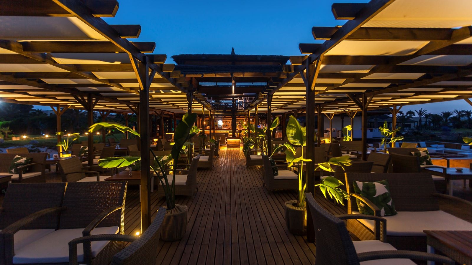 bars-beach-bar