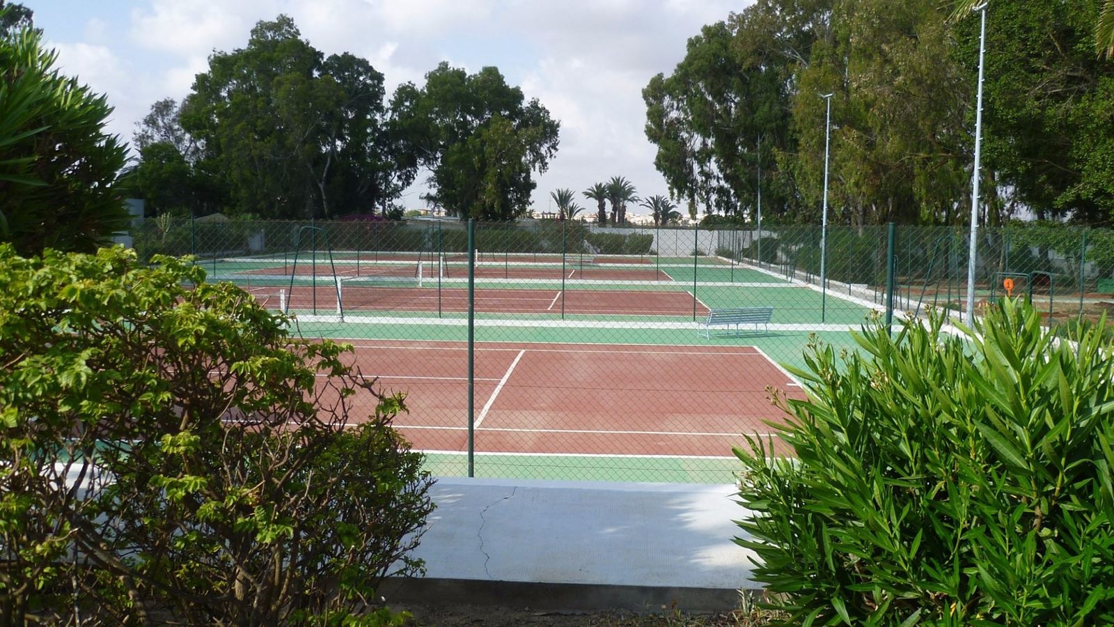 sport-sport