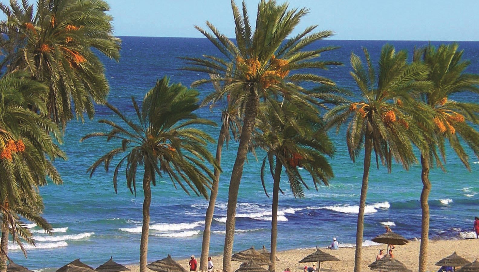 beach-beach