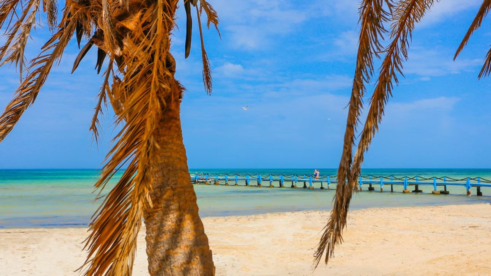 beach-beach