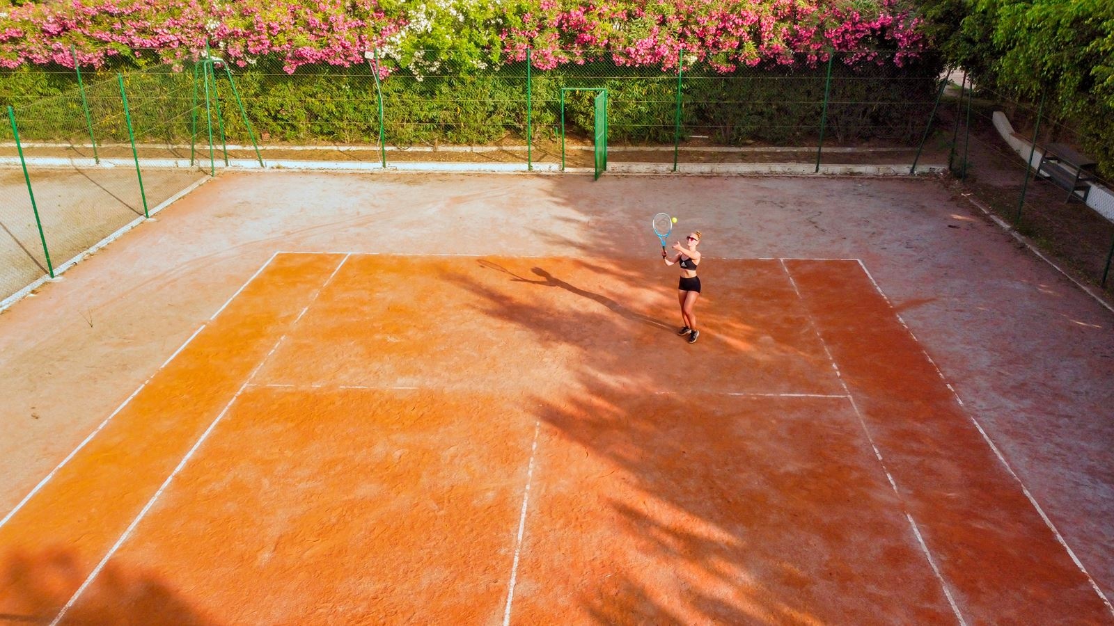 sport-sport