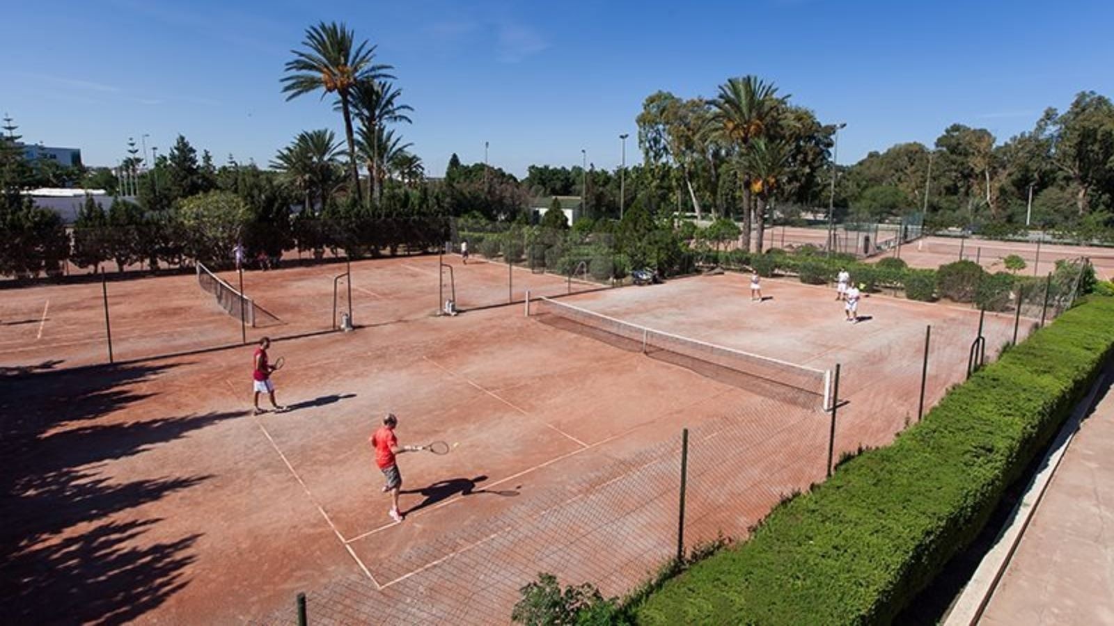 sport-sport