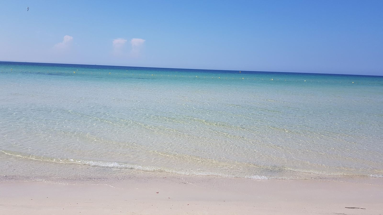 beach-other