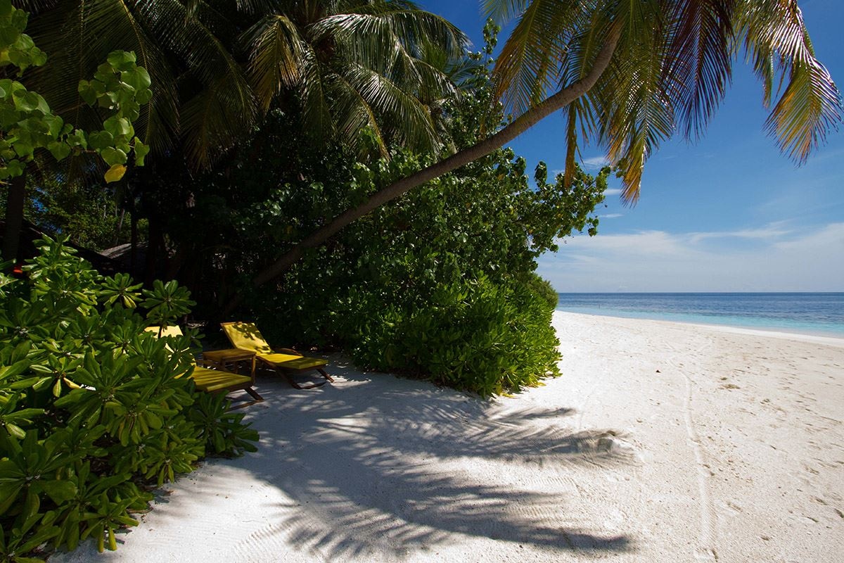 beach-beach