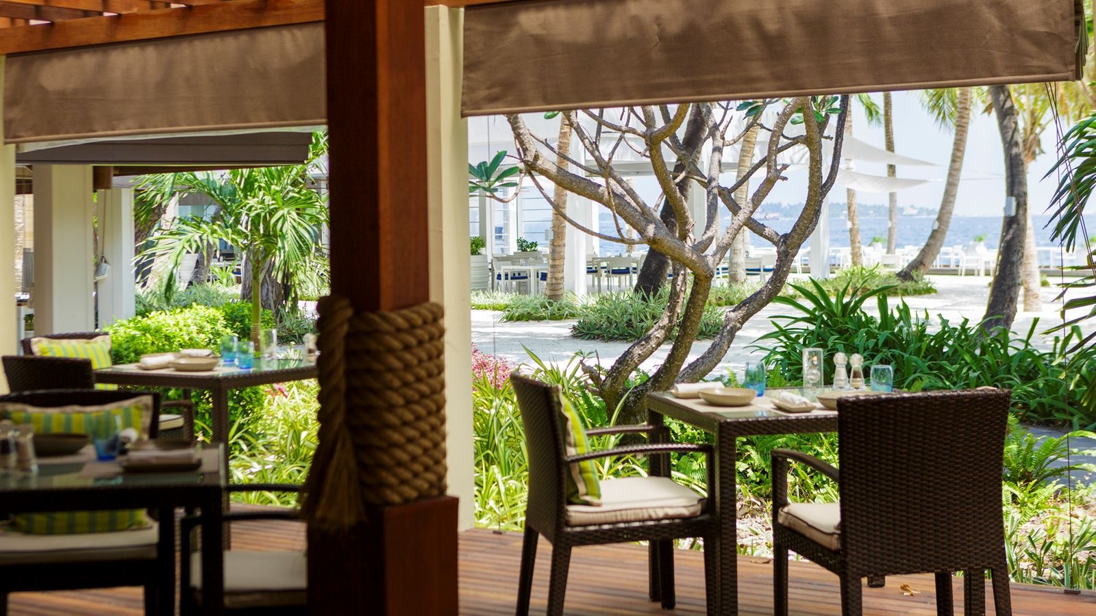 restaurants-cafe