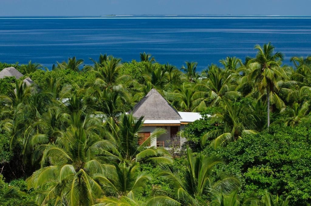 rooms-treetop-pool-villa