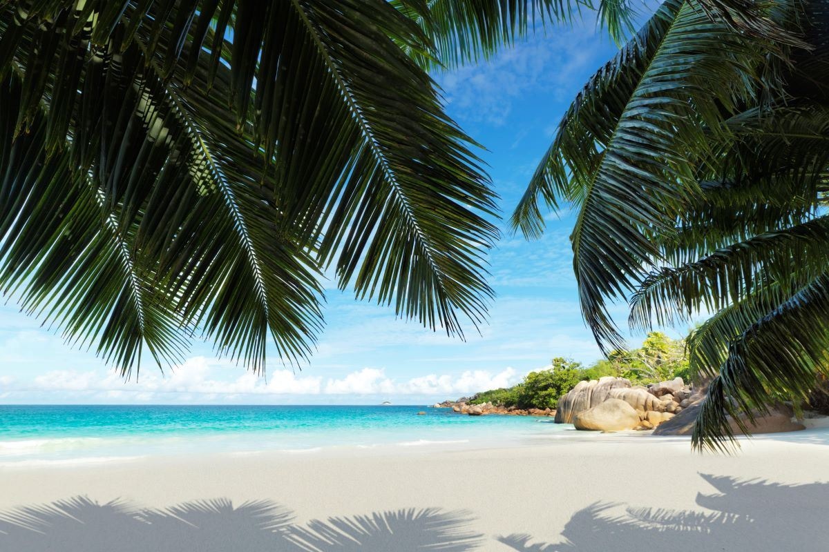 beach-beach