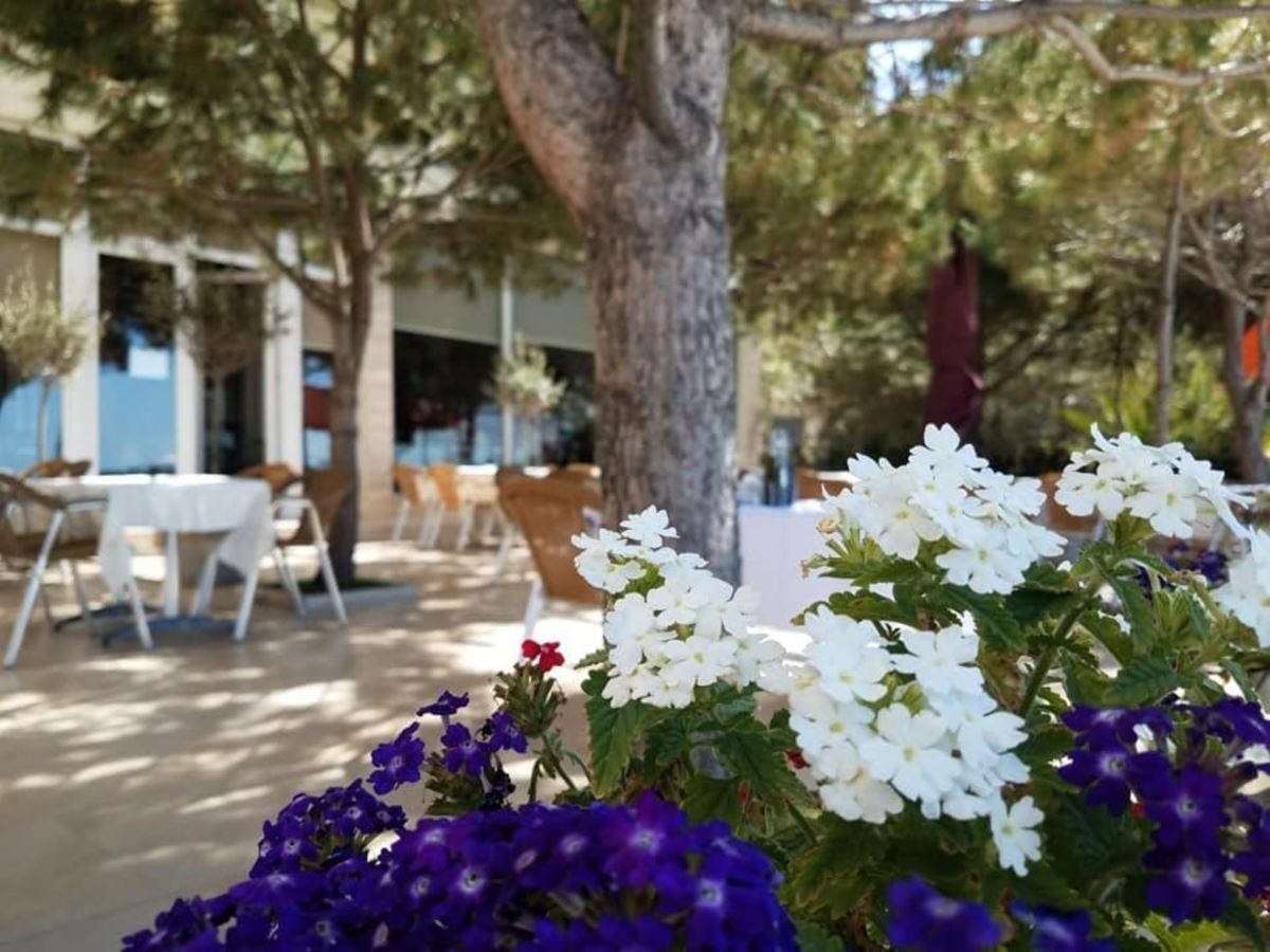 restaurants-main-restaurant