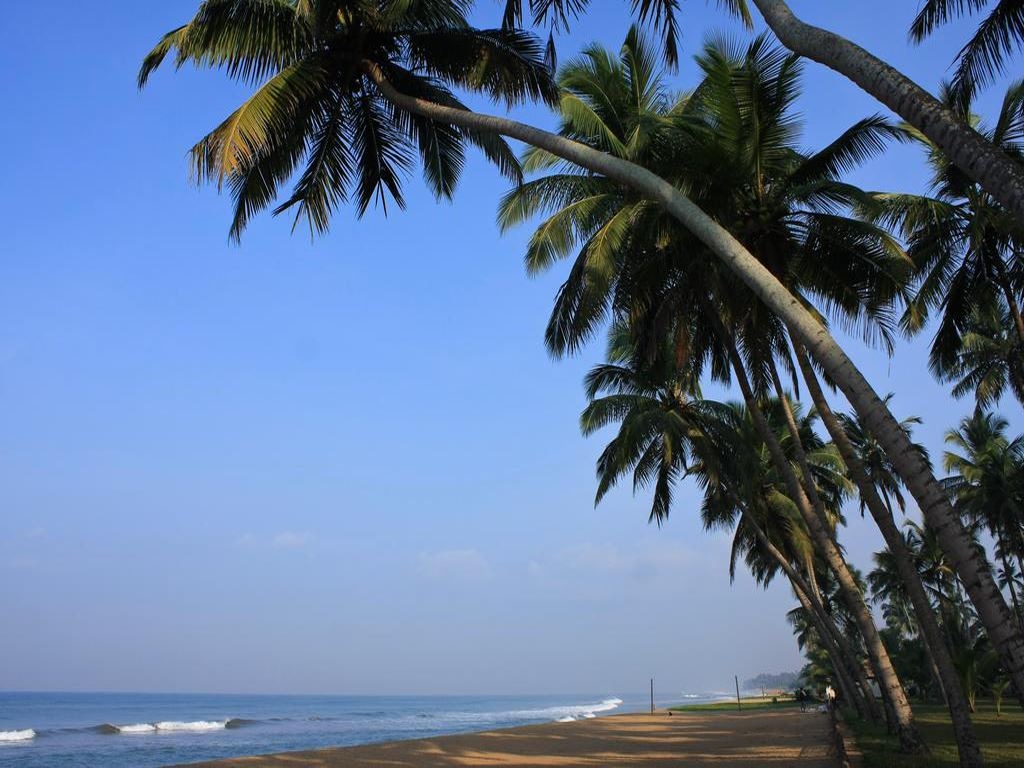 beach-beach