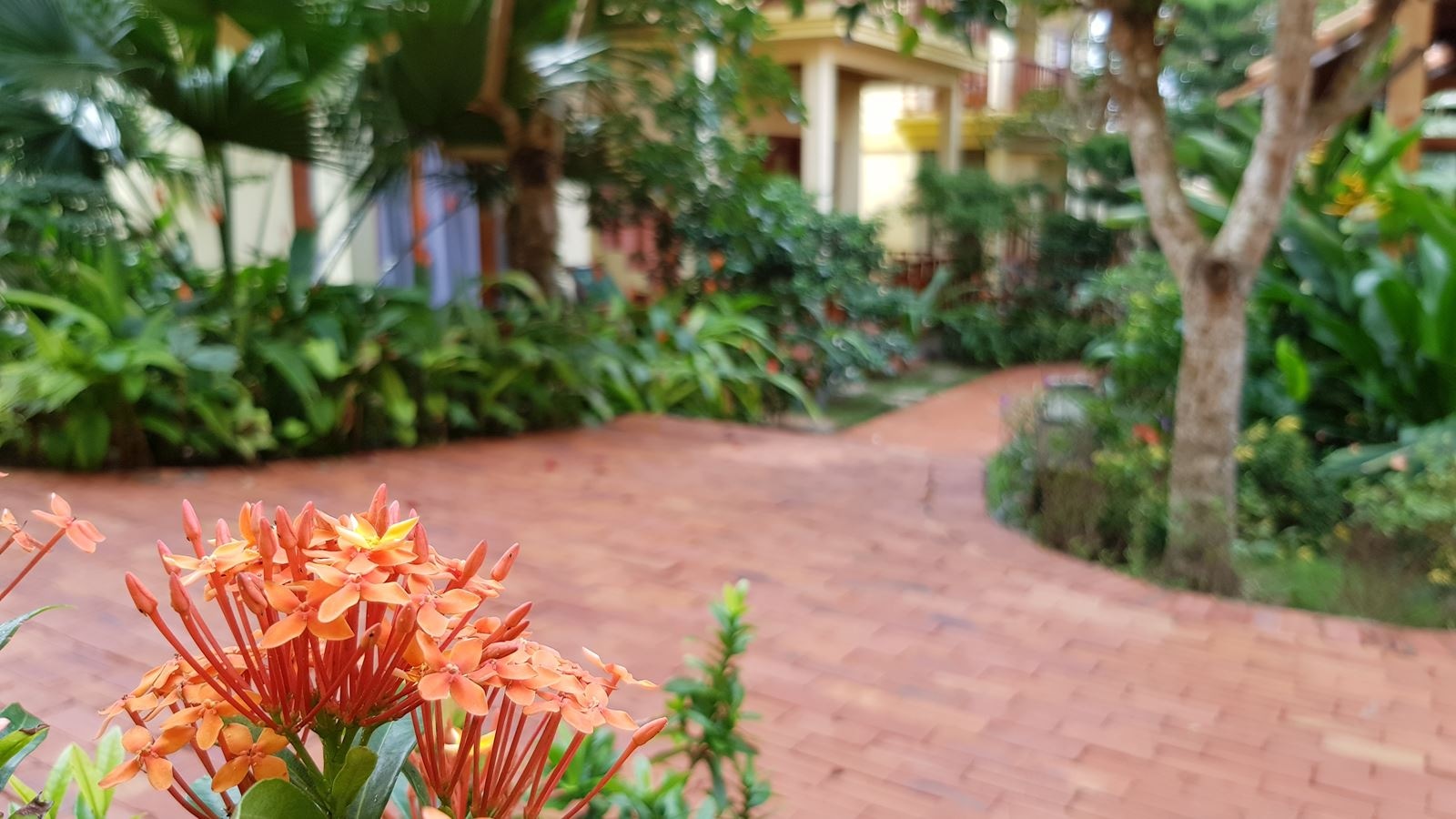 general-bungalow