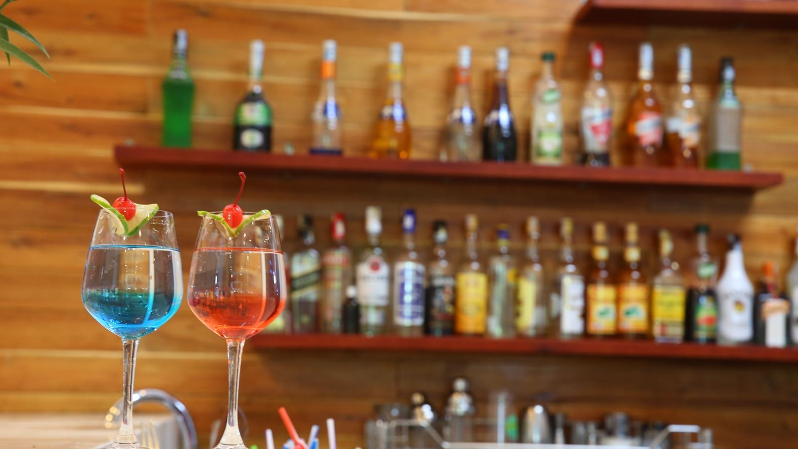 bars-beach-bar