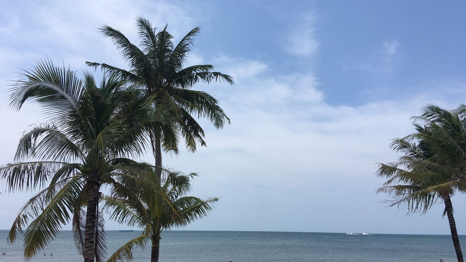 beach-beach
