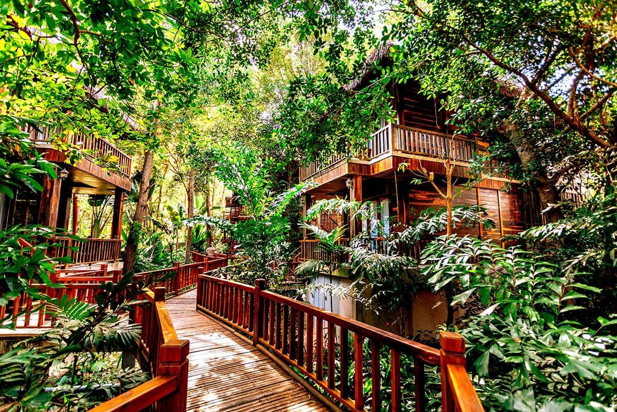 rooms-premium-jungle-bungalow