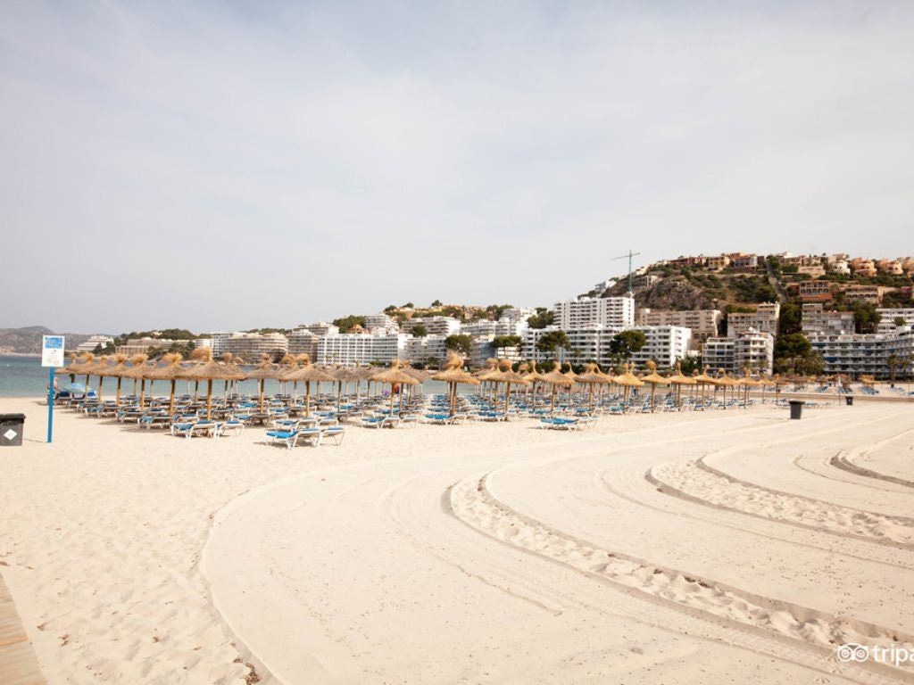 beach-beach