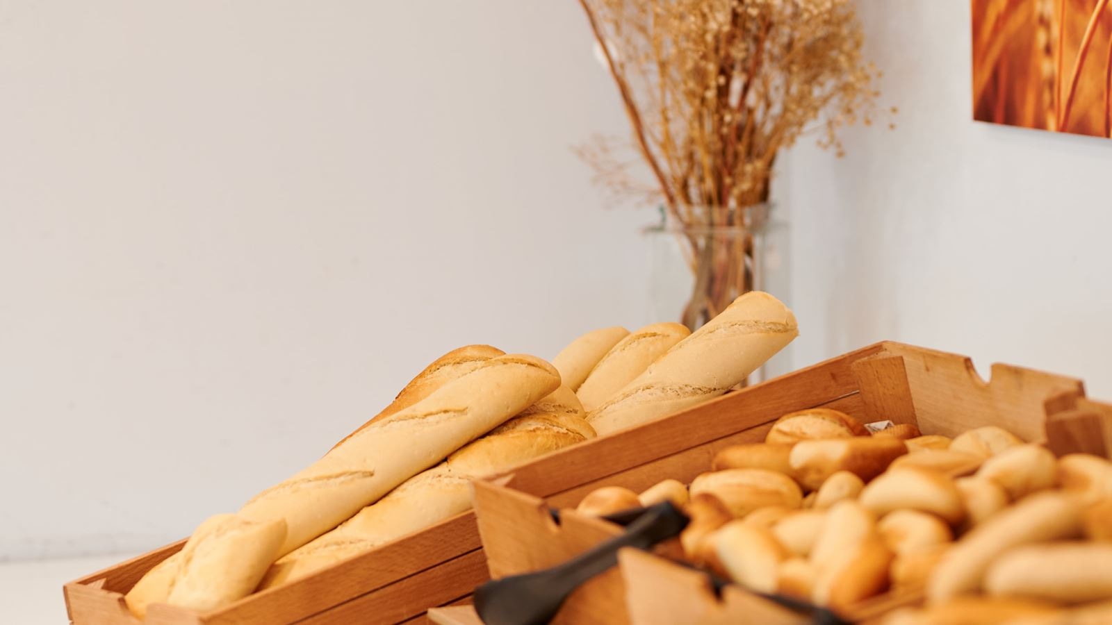 restaurants-terra